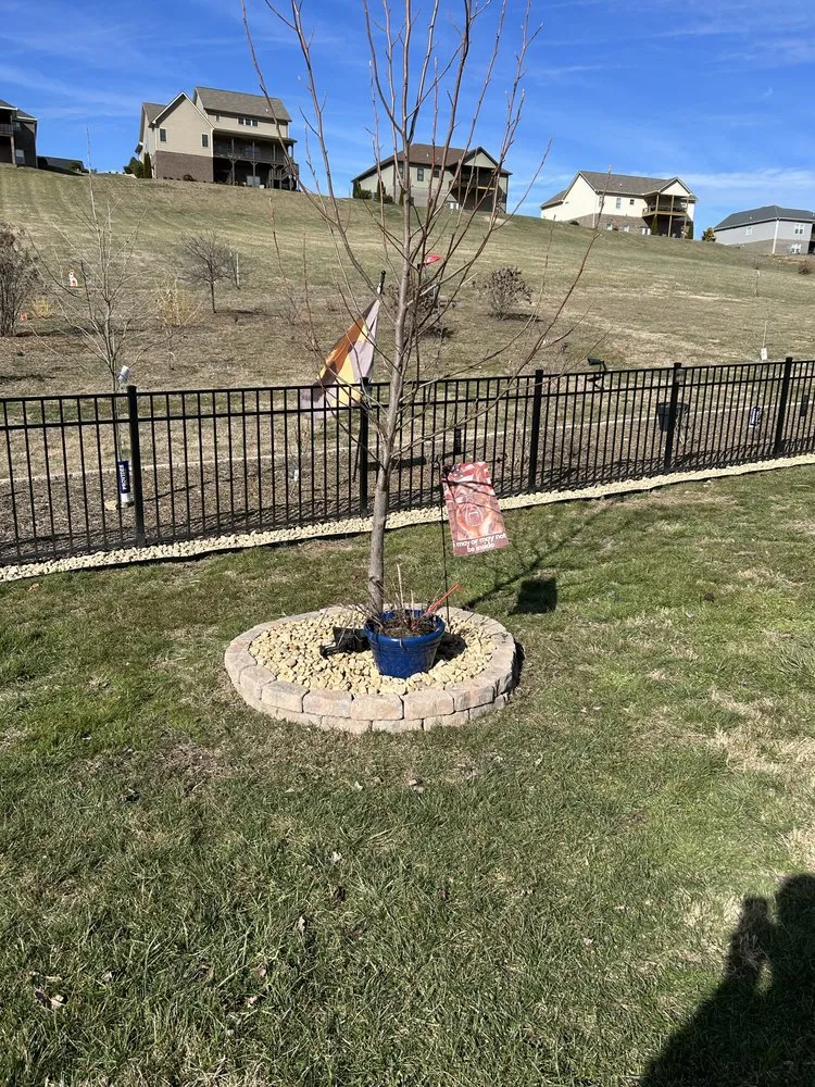 Top-rated lawn care service for outdoor upgrades across Bluff City, TN - Gatrell Landscape And Tree Removal