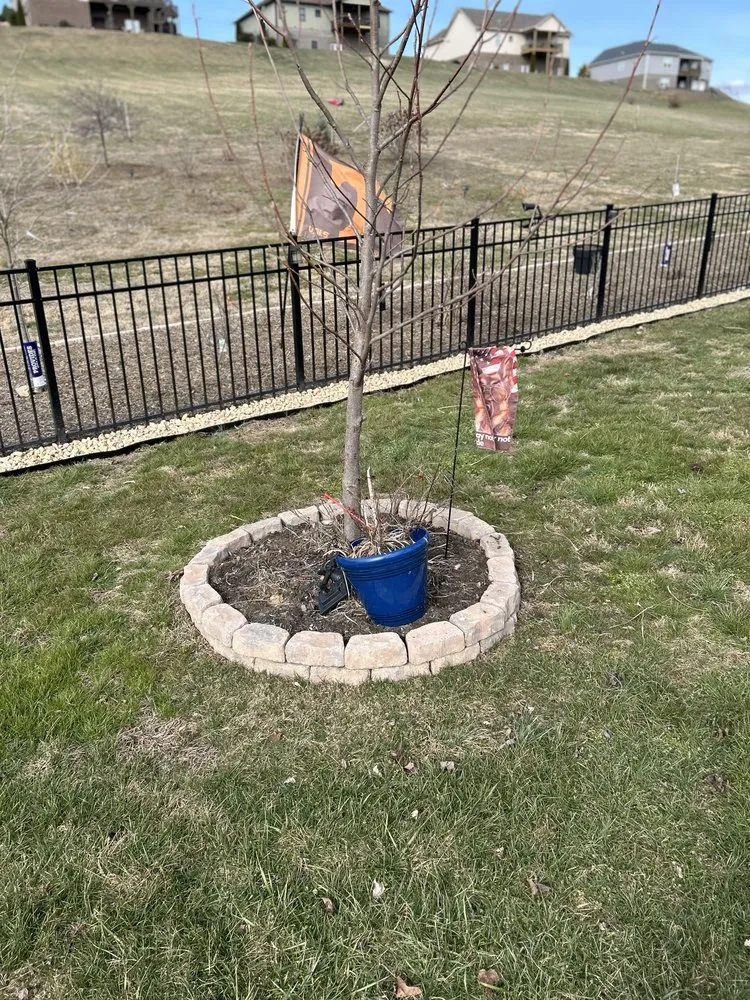 Trusted yard cleanup service with custom design across Bluff City, TN - Gatrell Landscape And Tree Removal