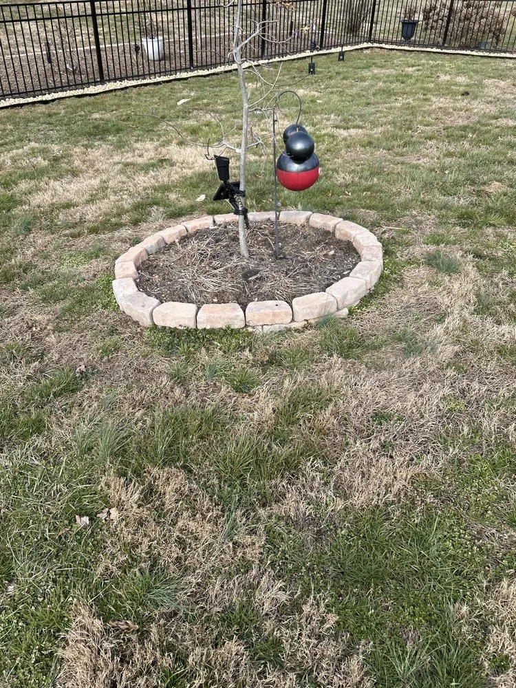 Trusted landscape design with custom design in Bluff City, TN by Gatrell Landscape And Tree Removal