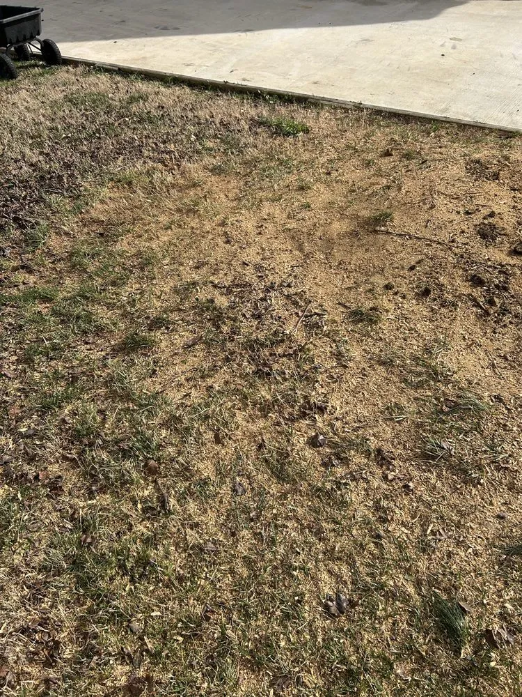 Reliable landscape installation in Bluff City, TN by Gatrell Landscape And Tree Removal