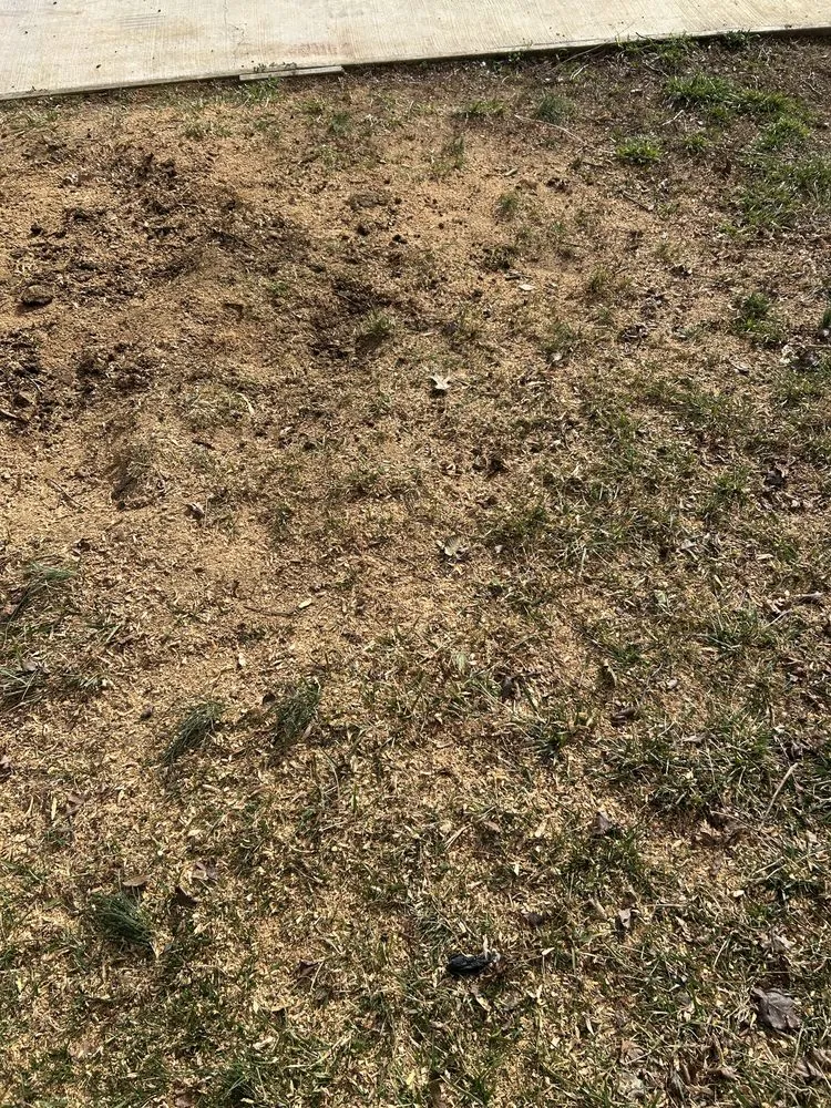 Local garden landscaping for year-round maintenance across Bluff City, TN - Gatrell Landscape And Tree Removal