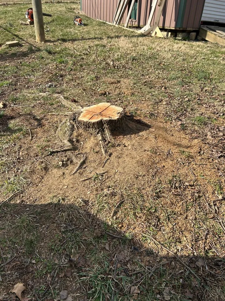 Affordable landscaping services experts serving Bluff City, TN - Gatrell Landscape And Tree Removal