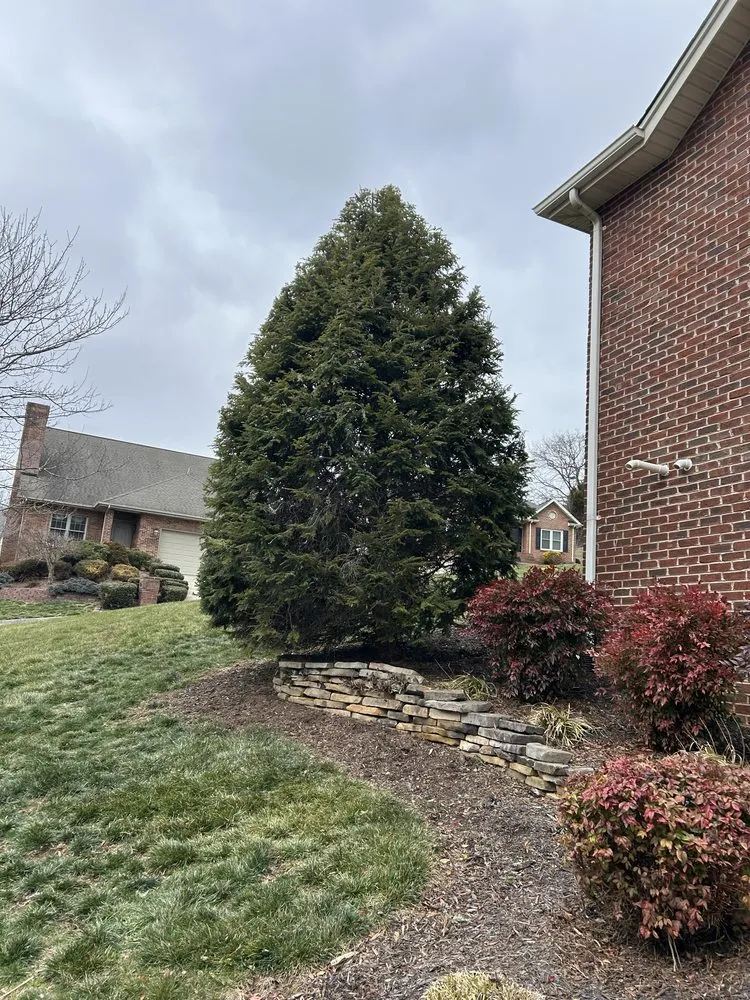 Local yard cleanup service for year-round maintenance in Bluff City, TN by Gatrell Landscape And Tree Removal