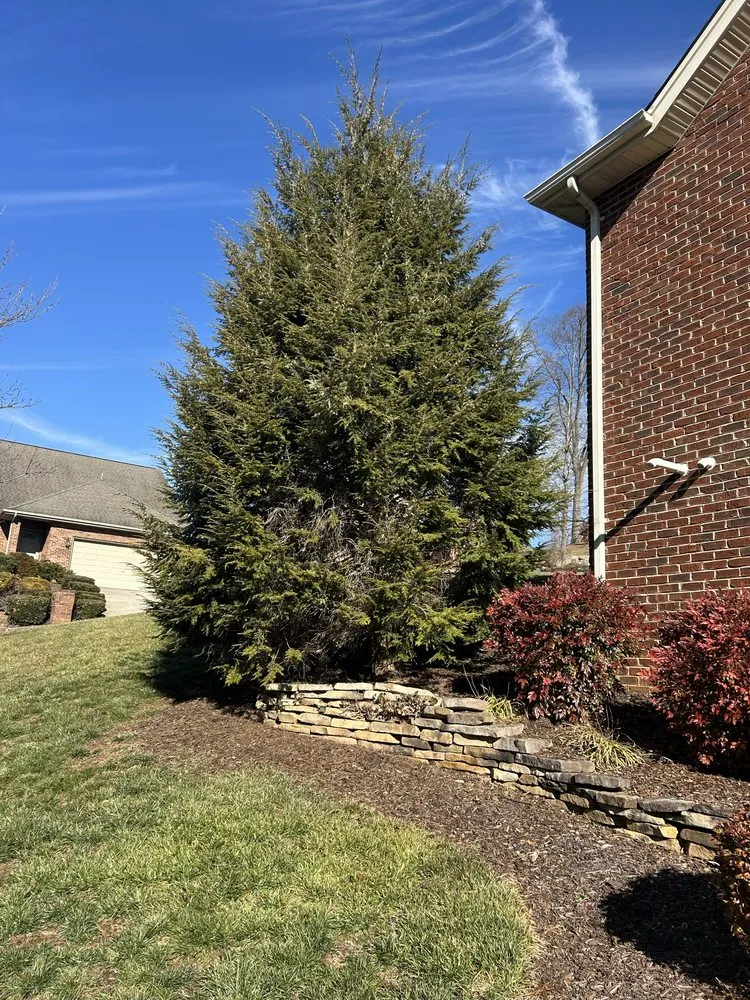 Custom yard maintenance for homes in Bluff City, TN by Gatrell Landscape And Tree Removal