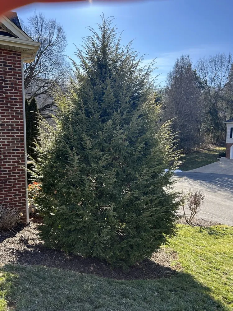 Expert landscape installation experts serving Bluff City, TN - Gatrell Landscape And Tree Removal