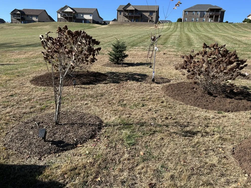 Top-rated landscaping services for outdoor upgrades across Bluff City, TN - Gatrell Landscape And Tree Removal
