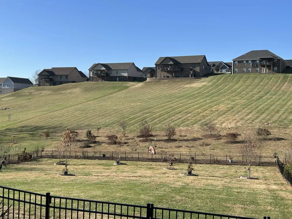 Top-rated landscape design in Bluff City, TN - Gatrell Landscape And Tree Removal