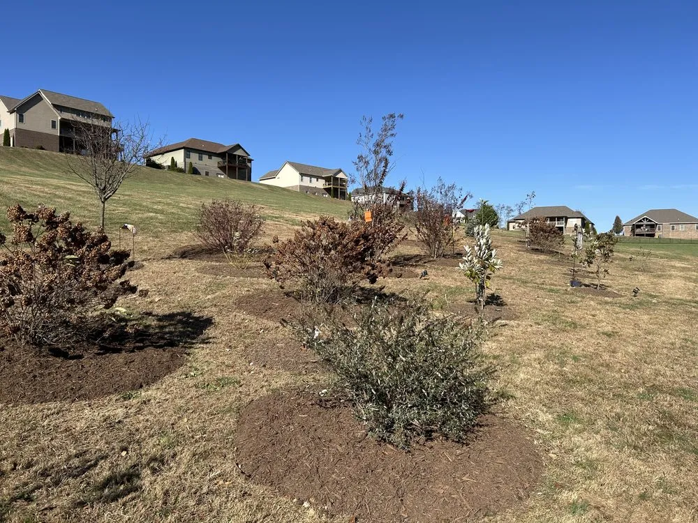 Trusted landscaping services for residential properties across Bluff City, TN - Gatrell Landscape And Tree Removal