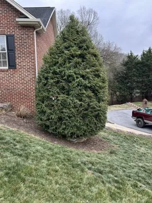 Gatrell Landscape And Tree Removal