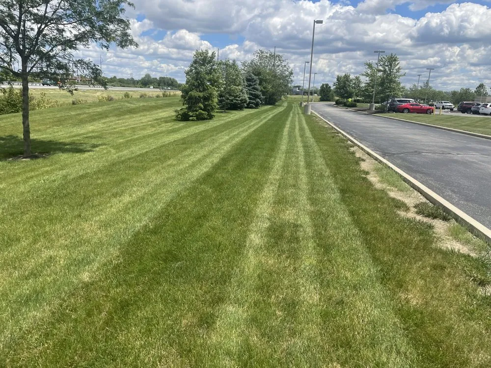 Custom yard cleanup service in Kokomo, IN by Gats lawn care