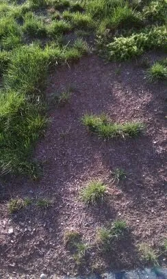 Expert landscape installation for homes across Lancaster, MA - Gatsby Grounds Company