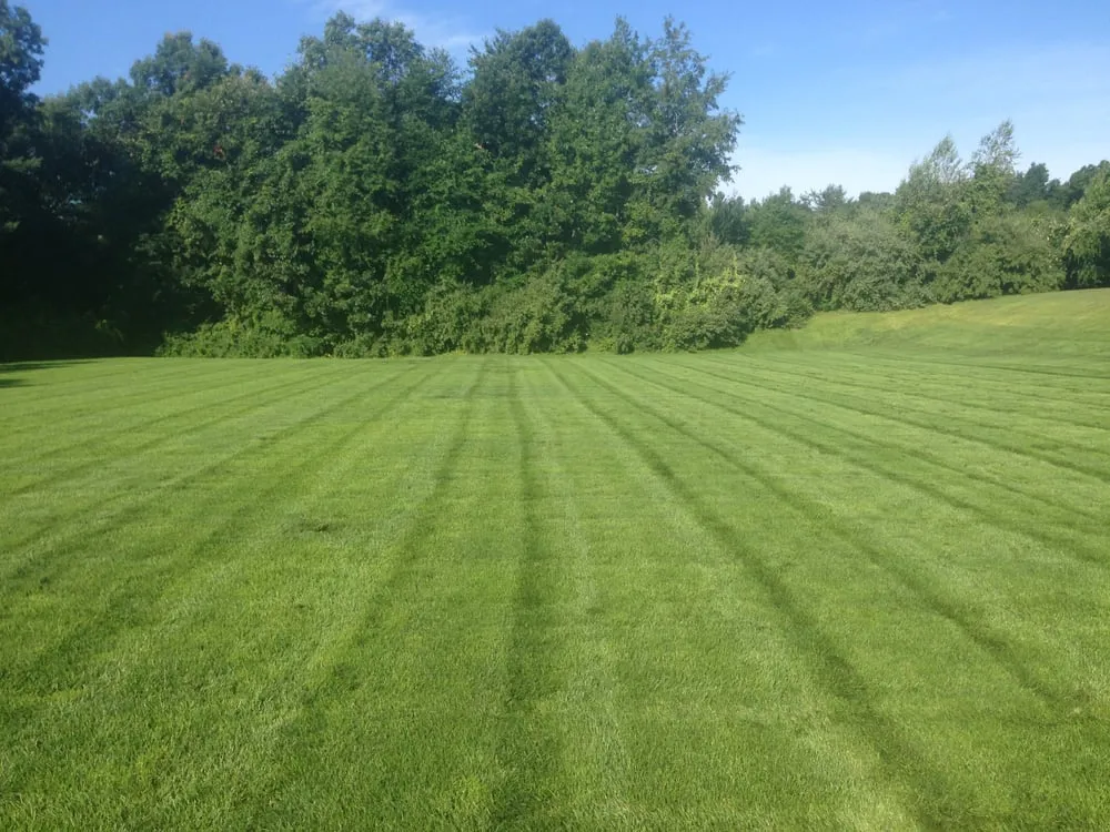 Professional yard cleanup service experts serving Lancaster, MA - Gatsby Grounds Company