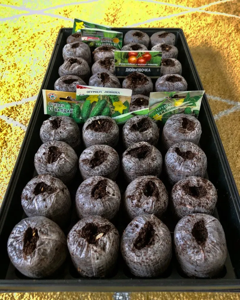 Top-rated outdoor landscaping for beautiful yards in Guilford, CT by Gatsby Landscaping