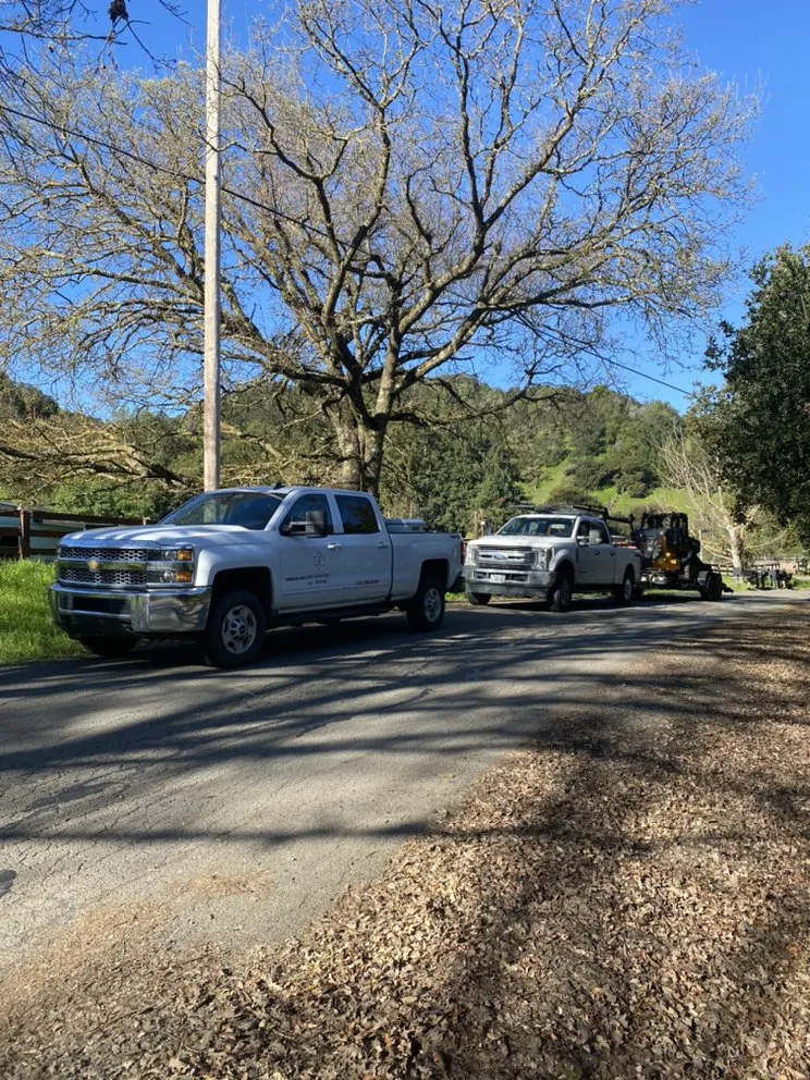 Reliable landscape installation for year-round maintenance in San Ramon, CA by Gaub Excavating And Trucking