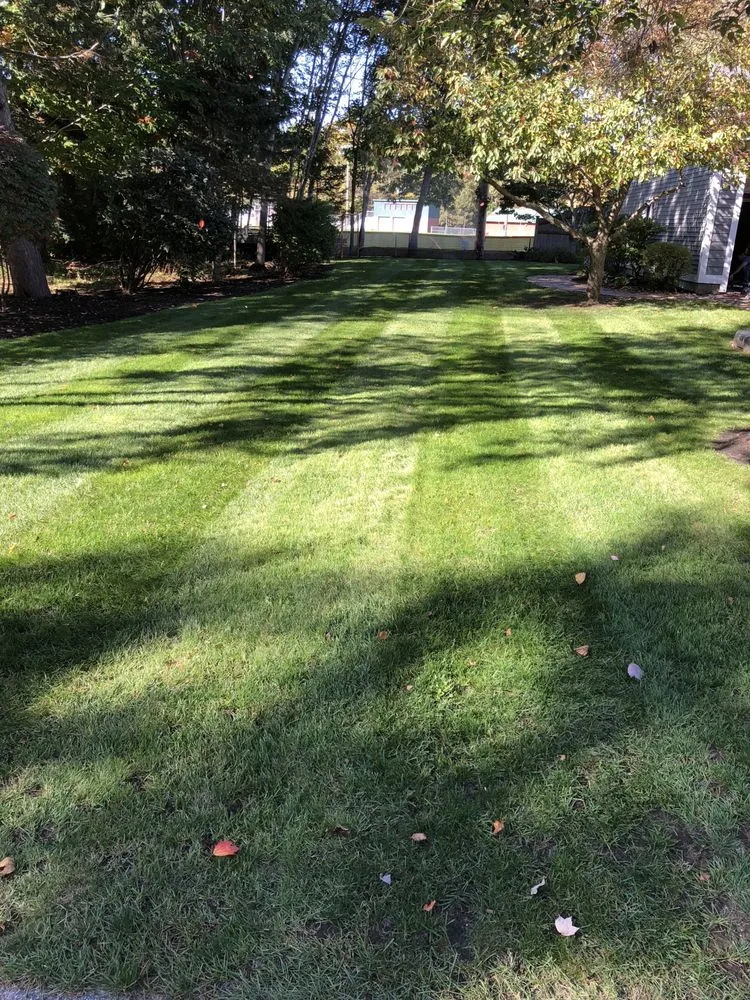 Expert lawn mowing service near you in Gorham, ME by Gaudreau Grass Groomers