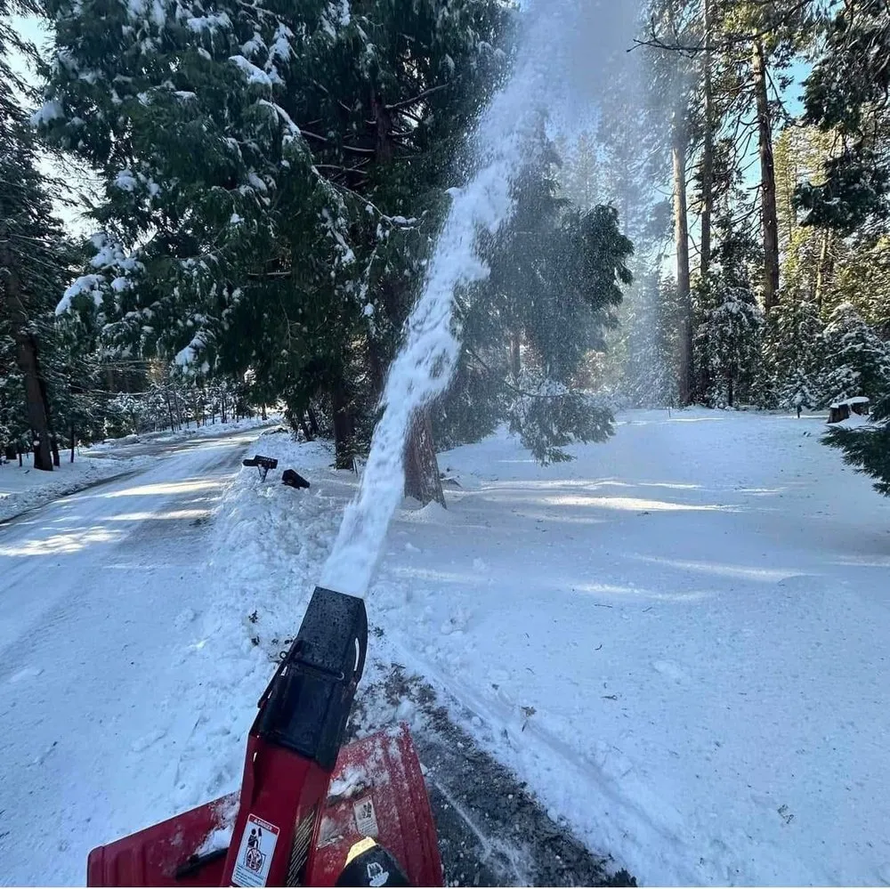 Reliable garden landscaping for year-round maintenance in Tuolumne, CA by Gauthier Landscaping