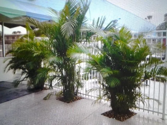 Trusted landscaping services in Kissimmee, FL by Gavasha