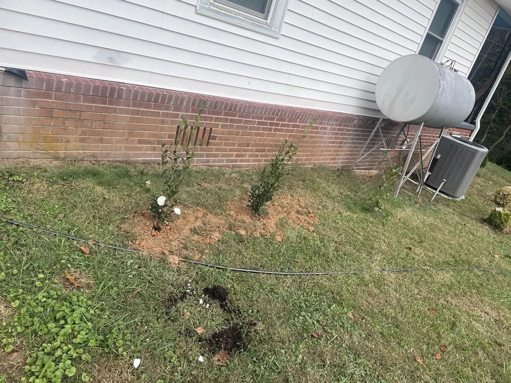 Professional yard cleanup service in Morganton, NC by Gave Yard Lawn Care