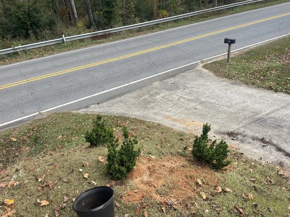 Top-rated outdoor landscaping in Morganton, NC - Gave Yard Lawn Care