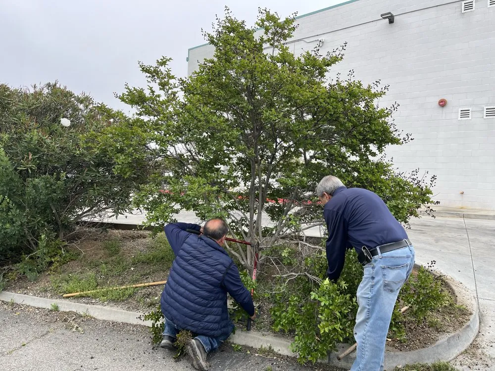 Expert residential landscaping with custom design across Riverside, CA - Gavino Landscaping