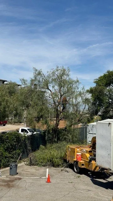 Expert yard cleanup service in Riverside, CA - Gavino Landscaping