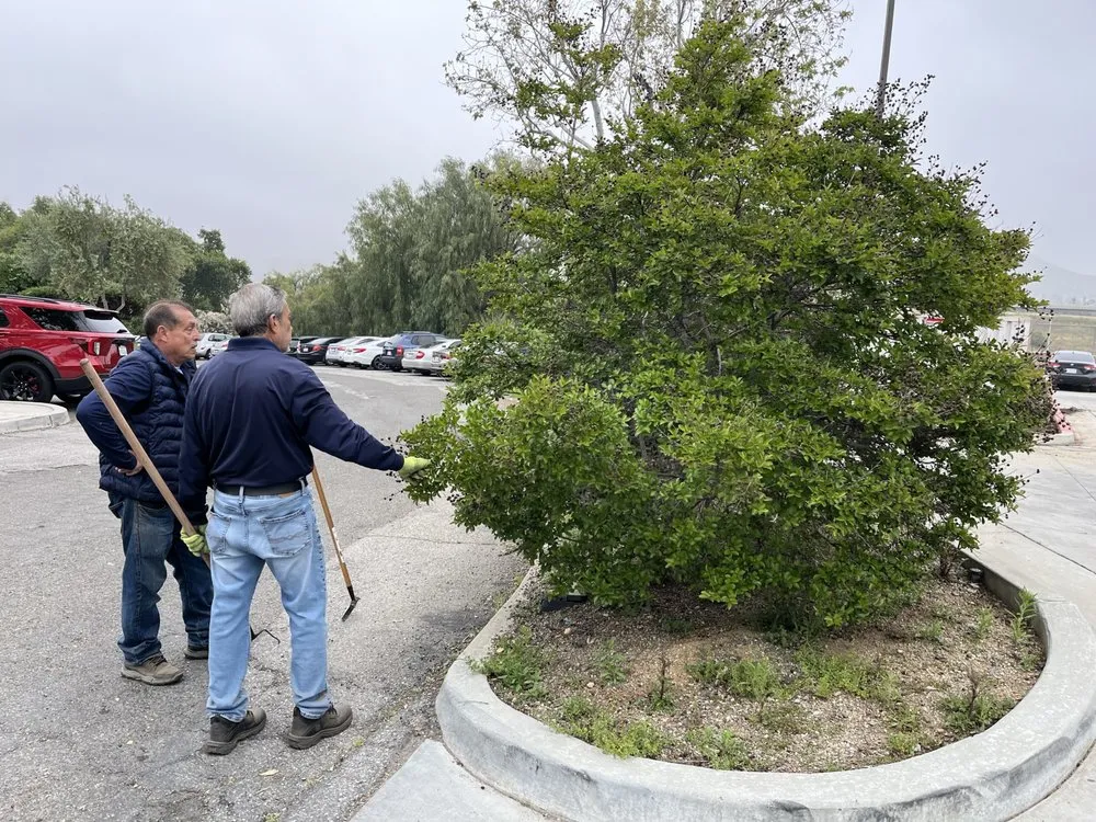 Local lawn mowing service in Riverside, CA - Gavino Landscaping