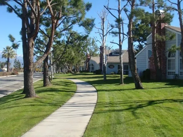 Local landscape design in Riverside, CA - Gavino Landscaping