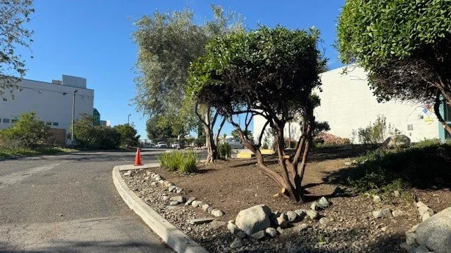 Affordable landscape design for homes across Riverside, CA - Gavino Landscaping