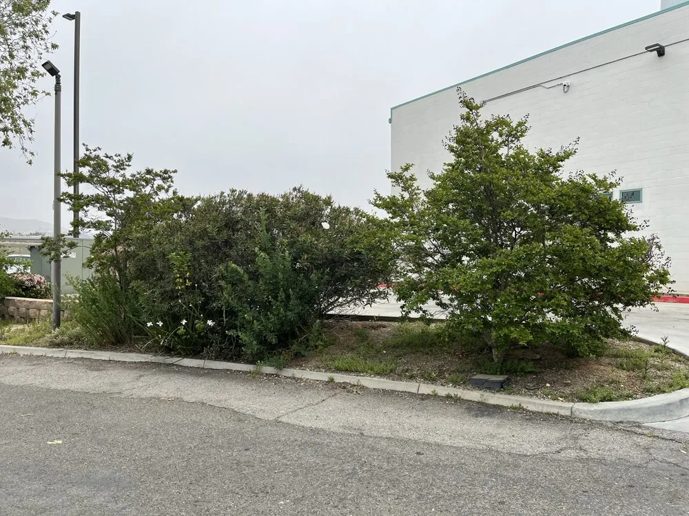 Expert landscape design for year-round maintenance in Riverside, CA by Gavino Landscaping