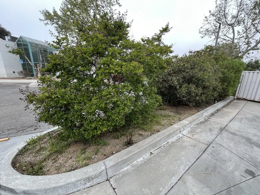 Top-rated lawn mowing service in Riverside, CA by Gavino Landscaping