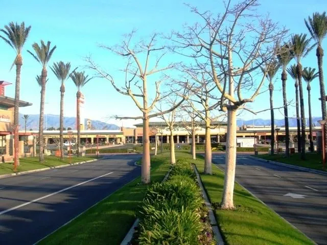 Trusted yard cleanup service in Riverside, CA by Gavino Landscaping