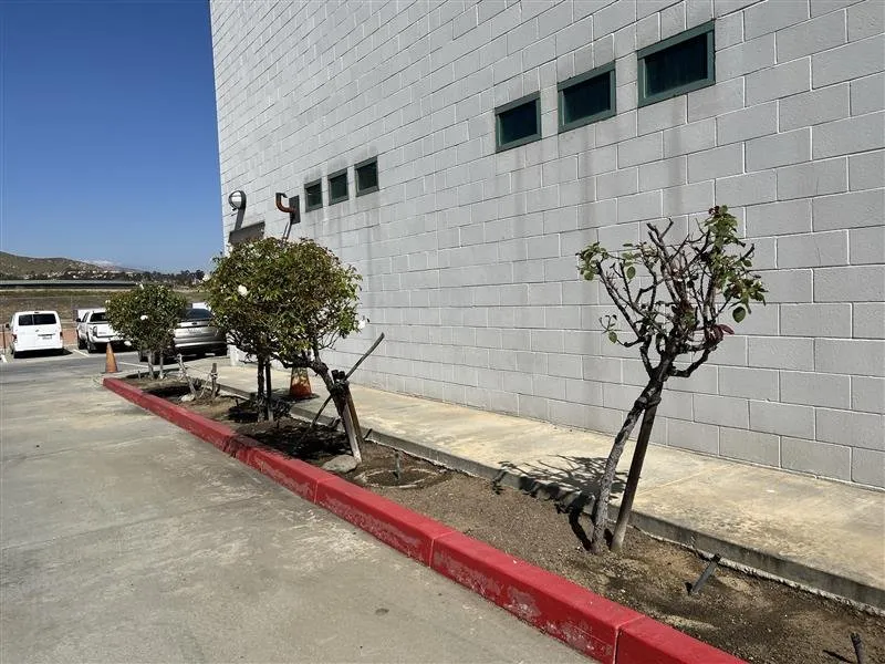 Affordable landscape design experts serving Riverside, CA - Gavino Landscaping