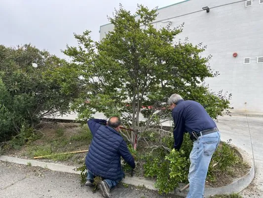 Gavino Landscaping Logo