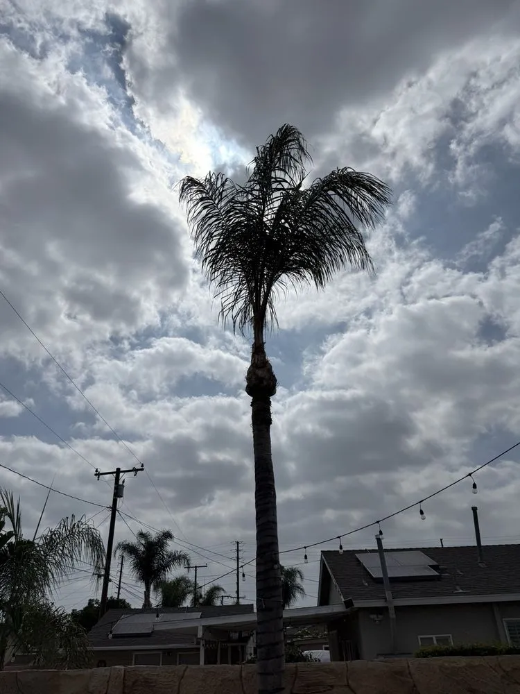 Expert garden landscaping near you in West Covina, CA by Gavino Tree Service