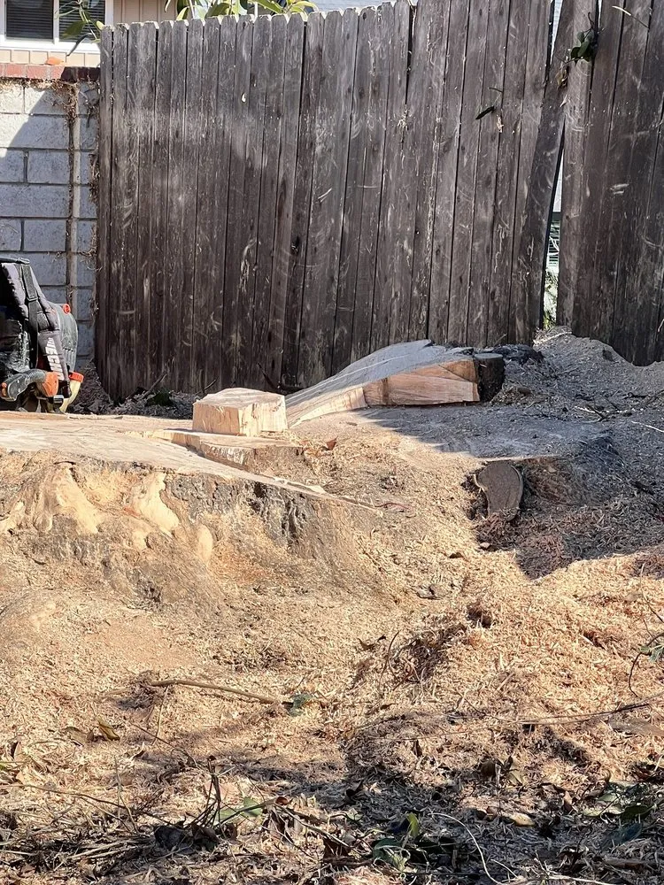 Trusted landscape installation with custom design across West Covina, CA - Gavino Tree Service