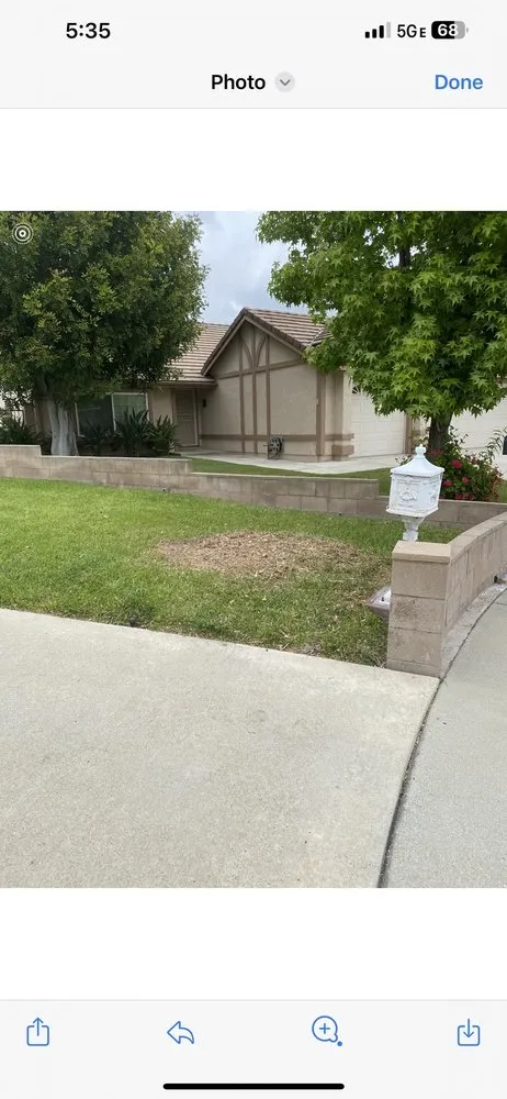 Top-rated yard maintenance for year-round maintenance across West Covina, CA - Gavino Tree Service