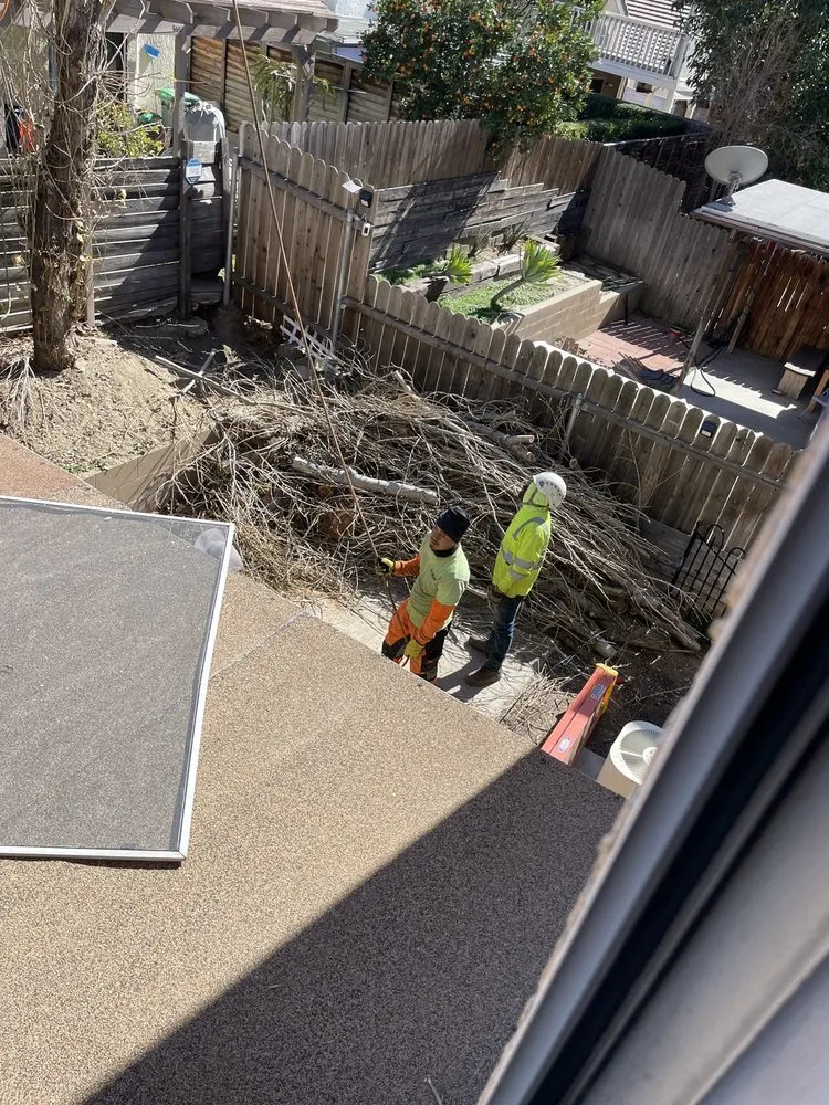 Expert landscaping services in West Covina, CA by Gavino Tree Service