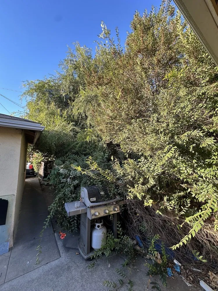 Custom lawn mowing service in West Covina, CA by Gavino Tree Service