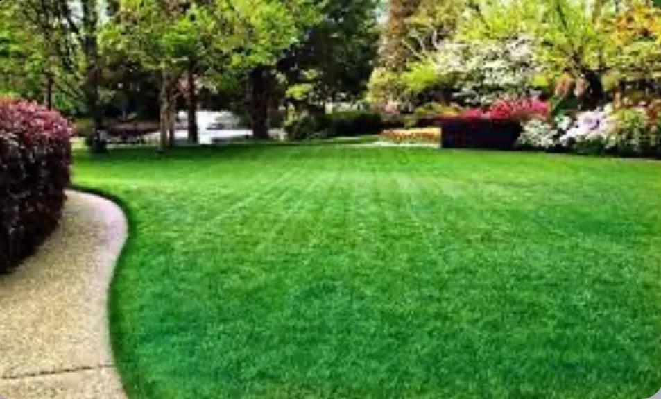Affordable landscaping services for beautiful yards in Cincinnati, OH by Gavins clean cuts