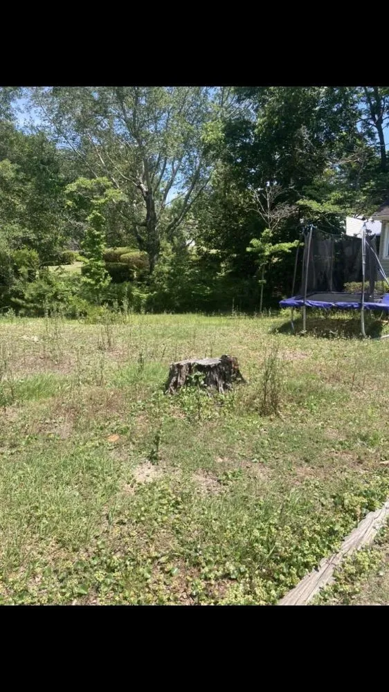 Professional yard maintenance for beautiful yards in Calabash, NC by Gavins Lawn Care