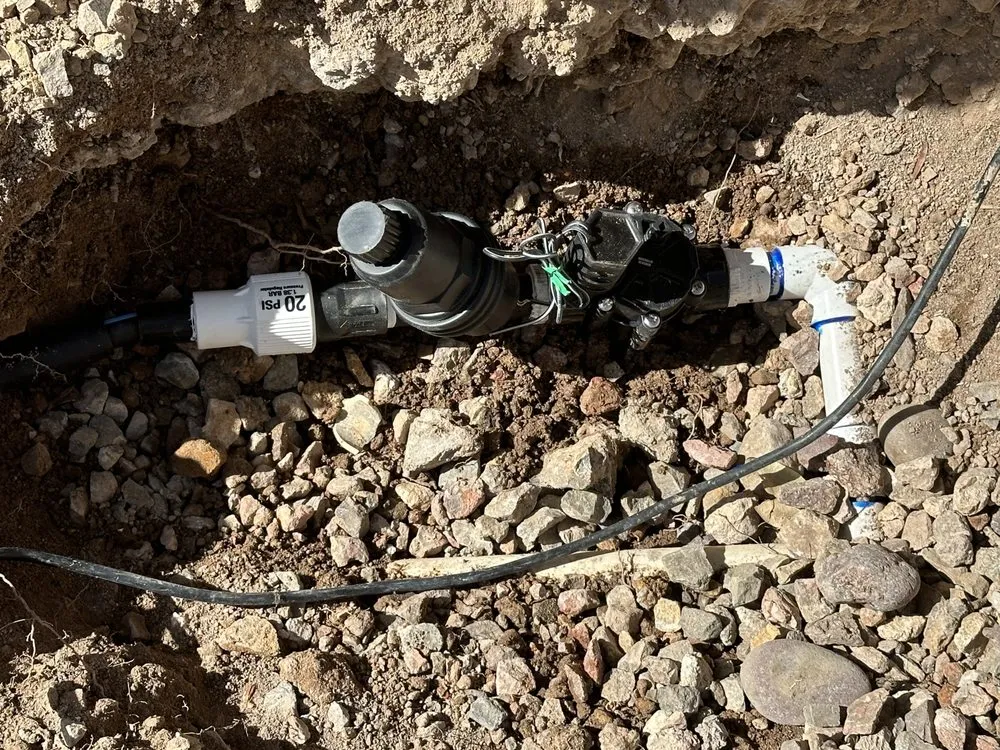 Professional residential landscaping in Henderson, NV by Gavin’s Services