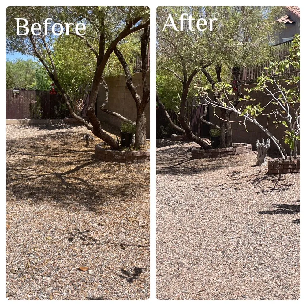 Affordable garden landscaping in Henderson, NV by Gavin’s Services