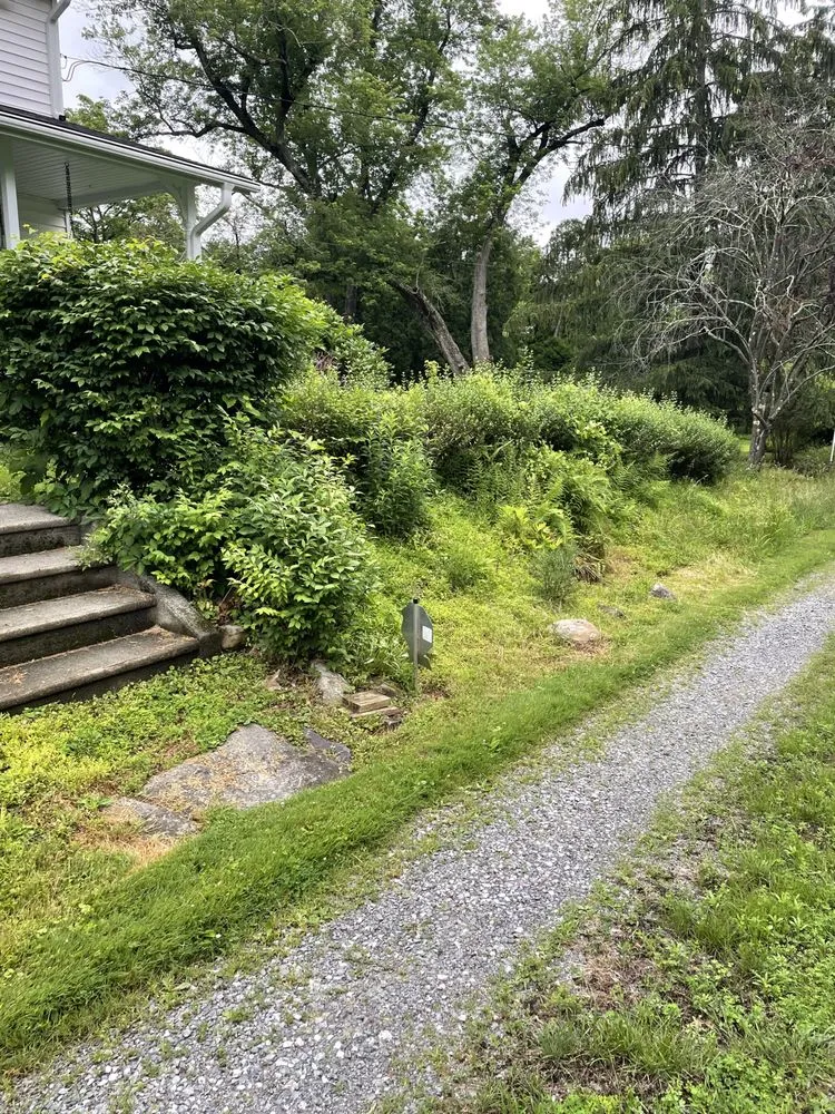 Affordable outdoor landscaping with custom design across Trenton, NJ - Gawayne Landscaping