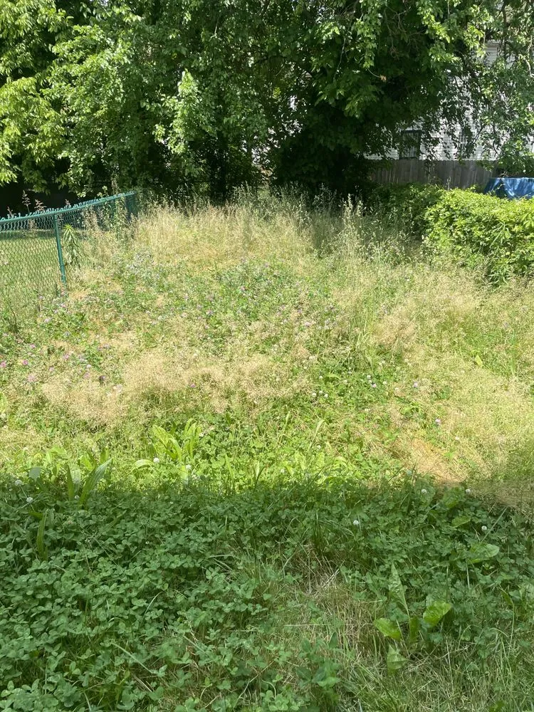 Custom landscape installation in Trenton, NJ by Gawayne Landscaping