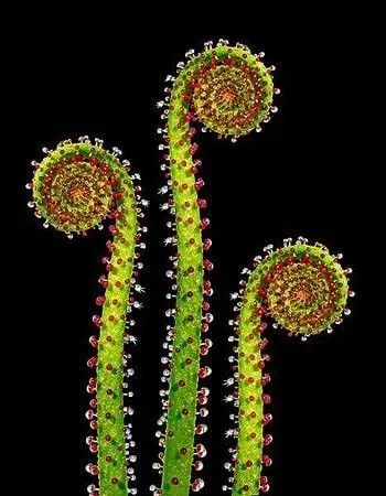 Reliable residential landscaping for beautiful yards across Chilmark, MA - Gayle Gardens