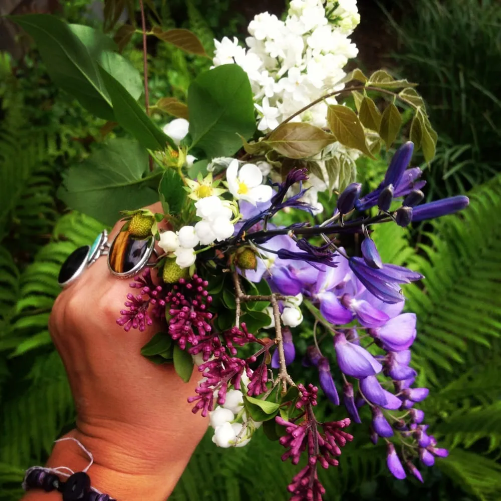 Trusted yard maintenance for beautiful yards in Chilmark, MA by Gayle Gardens