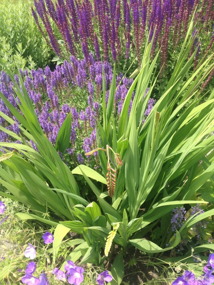 Trusted landscape installation in Chilmark, MA - Gayle Gardens