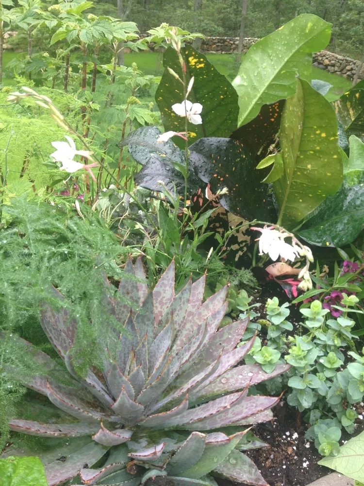 Expert outdoor landscaping in Chilmark, MA by Gayle Gardens