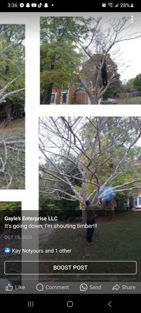 Custom residential landscaping in Baltimore, MD by Gayle's Enterprise