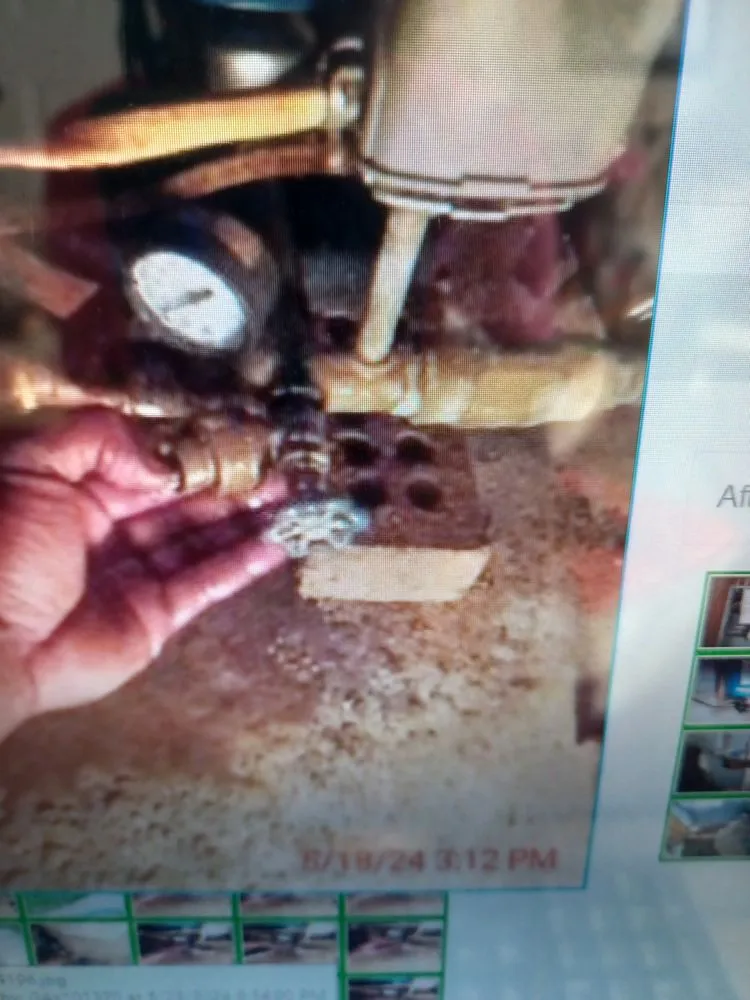 Trusted landscape design in Baltimore, MD - Gayle's Enterprise